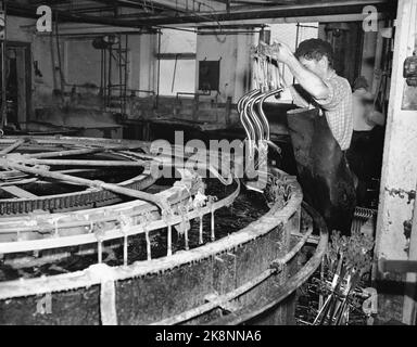 Sandnes 19490415. Dans les cabines avec 75 000 vélos. La société Jonas Øgländ à Sandnes, Rogaland a été fondée en 1868. Øgländ Bicycle Factory fabrique 75 000 bicyclettes par an, la moitié d'entre elles sont réunies ici à l'usine, l'autre moitié sont vendues aux concessionnaires qui les ont eux-mêmes mis ensemble ou les utilisent comme pièces de rechange. En 1932, ils ont lancé le meilleur vélo - DBS. L'usine compte environ 400 travailleurs. Homme au travail. Photo; Sverre A. Børretze / actuel / NTB Banque D'Images