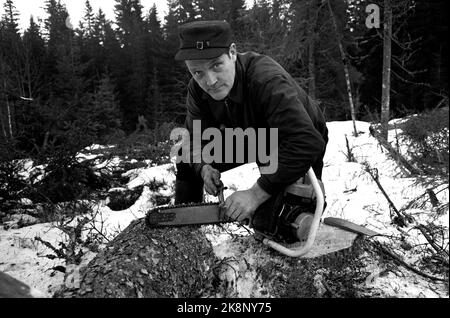 Eidskog février 1965. L'auteur, le parolier et l'enregistreur Hans Børli. En travaillant avec des tronçonneuses dans la forêt. Photo: Ivar Aaserud / courant / NTB Banque D'Images