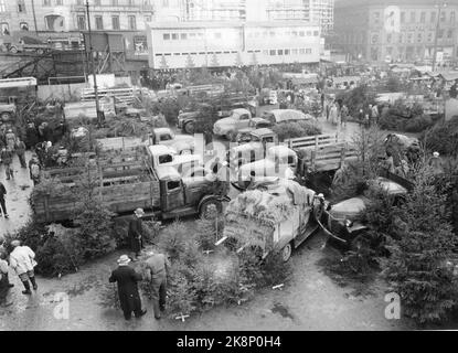 Oslo 195312. Il approche la fin de Noël. Dans quelques heures, le tapis se glissera pour la grande fête, avec l'arbre de Noël comme centre fédérateur. Les vendeurs de la place ont un grand dépôt sur leurs arbres le matin de la veille de Noël, et il ya une panique parmi le public d'achat. Que se passe-t-il si le stock n'est pas assez grand pour que tout le monde puisse l'obtenir ? Photo: Sverre A. Børretzen / actuel / NTB Banque D'Images