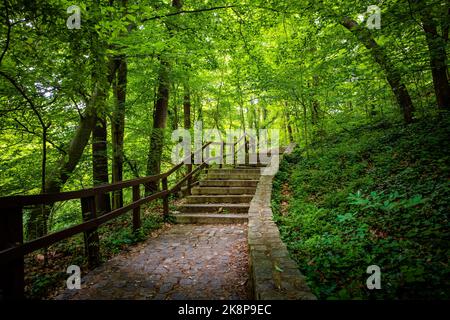 Une photo de paysage d'un escalier en pierre dans le parc verdoyant à la lumière du jour Banque D'Images