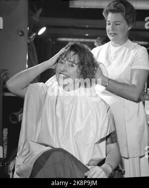 Oslo 19601126. La dame de bureau et TV l'hôtesse de NRK Inger Lise Haug travaille dans un bureau du Conseil norvégien de la recherche agricole pendant la journée. Après les heures de bureau, le salon de coiffure est parti, où elle obtient ses cheveux posés et soignés. Trois nuits consécutives, elle est sur l'écran de télévision. Marié Skarstein. Photo: Aage Storløkken Current / NTB Banque D'Images