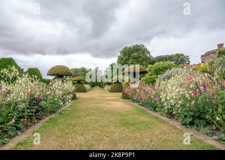 arbres topiaires et jolies bordures avec fleurs d'été dans un jardin de campagne anglais Banque D'Images