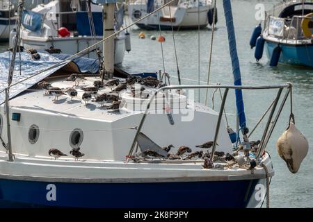 pierres tournantes reposant sur un bateau dans la mer Banque D'Images