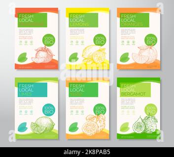 Collection de modèles d'étiquettes de agrumes frais locaux. Jeu de mises en page abstraites Vector Packaging Design. Bannière typographique moderne avec fruits dessinés à la main Illustration de Vecteur