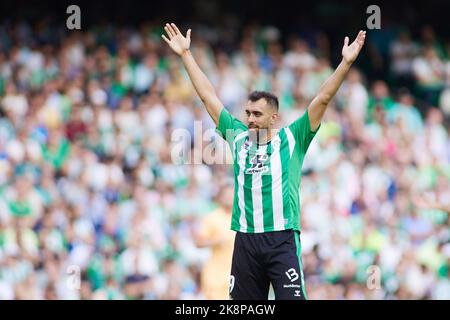 Borja Iglesias de Real Betis lors du championnat d'Espagne la Ligue football match entre Real Betis et Atletico de Madrid sur 23 octobre 2022 au stade Benito Villamarin à Séville, Espagne - photo: Joaquin Corchero/DPPI/LiveMedia Banque D'Images