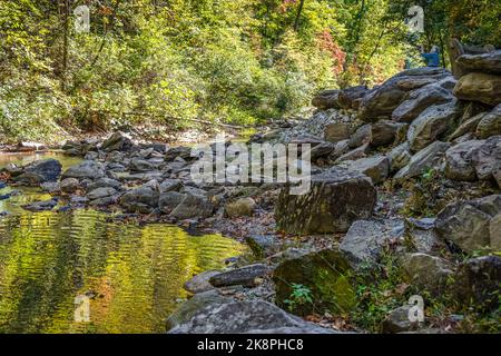 Femme âgée photographiant le feuillage d'automne coloré le long de Toccoa Creek aux chutes Toccoa, dans le nord-est de la Géorgie, sur son iPhone. (ÉTATS-UNIS) Banque D'Images