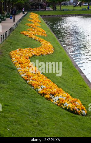 Un cliché vertical de fleurs d'orange en fleurs près du lac Lille Lungegrdsvannet, Bergen, Norvège Banque D'Images