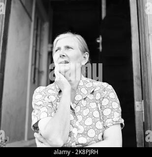 Torp 19540612 - grève par utilisation de Torp. Le conflit de travail illégal dure depuis plus de trois mois. Les tapis transporteurs utilisés chez Torp sont debout depuis trois mois. La femme au foyer Johanne Jelsmo n'aime pas l'homme en grève. Photo: Aage Storløkken / actuel / NTB Banque D'Images