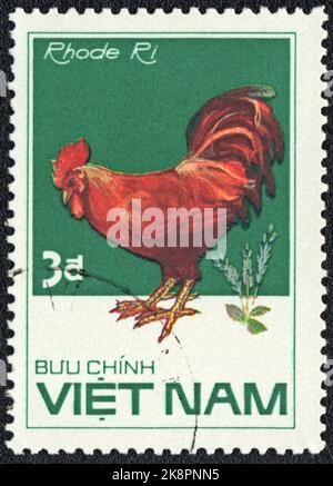 Un timbre imprimé au VIETNAM montre le Rhode Island Red Rooster, de la série Chicken races, vers 1985 Banque D'Images