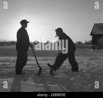 La frontière Jakobselv Pâques 1949 rien de nouveau de la frontière du nord Une bande de neige vierge de 160 kilomètres de la sortie de la frontière Jakobselv à Borderfoss à Pasvikdalen, devient la seule frontière commune entre les pays du Pacte atlantique et l'Union soviétique lorsque la Norvège adhère à l'Alliance A. Le courant est allé le long de la frontière et a parlé aux gens qui y vivent. Les hommes avec des spades ont une discussion. Photo; Sverre A. Børretzen / actuel / NTB Banque D'Images