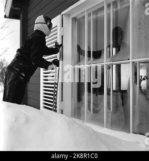 Gauddal 1955 - Reine Ingrid du Danemark en vacances d'hiver privées en Norvège avec ses trois filles, la princesse héritage Margrethe, la princesse Benedikte et la princesse Anne -Marie. La reine Ingrid n'a pas eu de skis sur ses jambes depuis 20 ans. Sur la photo, l'héritier du trône Margrethe regarde par la fenêtre d'une cabine. Photo: Sverre A. Børretzen / actuel / NTB Banque D'Images