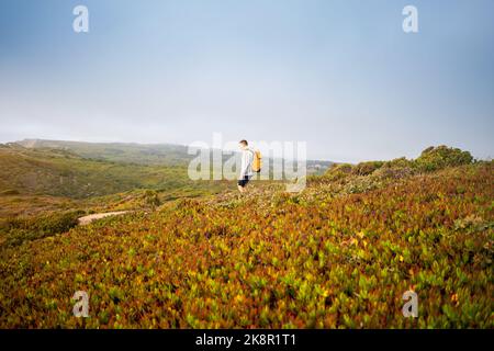 Vue latérale jeune homme avec sac à dos jaune. Homme voyageur portant un pull à capuche gris avec sac à dos explorer la nature. Style de vie de Wanderlust. Alpinisme Travel Lifestyle concept. Banque D'Images