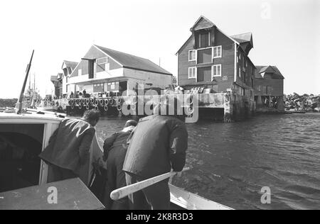 Ona 19720617. Le village de pêcheurs sur la côte de Romsdal est à une distance satisfaisante de tout ce qui a à voir avec les tracas et la ruée. Beaucoup ont quitté Ona ces dernières années. La troisième partie des maisons est vide. Pourtant, il y en a qui ne quittera jamais l'île. À propos de. Deux cents personnes vivent ici aujourd'hui. Le phare d'Ona est l'un des plus célèbres gars de la côte, qui décharge les gens de mer par une LED dangereuse. Photo: Sverre Børretzen courant / NTB Banque D'Images