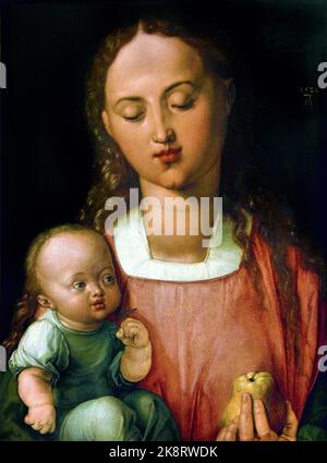 Vierge du Pear 1526 par Albrecht Dürer 1471 - 1528 Allemagne allemande, ( Madonna, privée de son voile, dans ses bras l'enfant, qui s'empaise d'une Marguerite, symbole du mariage mystique avec sa mère, Par conséquent, de Jésus avec l'Église, identifié avec Marie, lui offre une poire, symbole du péché originel, et sa rédemption du monde. Florence, Italie. Banque D'Images