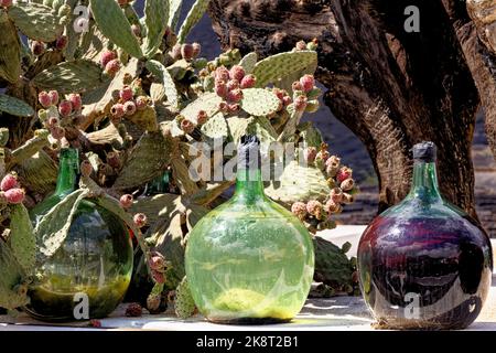 Une vieille souche d'arbre et des bouteilles de vin à l'extérieur d'un Bodega - Lanzarote, Espagne Banque D'Images