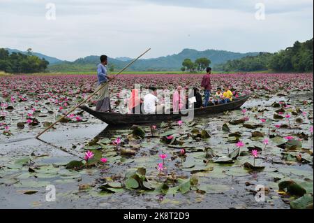 Sylhet, Bangladesh. 24th octobre 2022. 23 octobre 2022, Sylhet, Bangladesh : les visiteurs qui apprécient le bateau pendant la journée découverte à Jaintapur Dibir Hor de Sylhet, tandis que la tempête cyclonique Sitrang provoque de la pluie à Dhaka et dans d'autres parties du pays. Dibir Haor est connu comme Royaume de Shabla pour les voyageurs. Ici, au début du mois bengali d'Hemanta, de nombreuses fleurs rouges de Shabla ont fleuri dans ce Haor qui, sur la rive des collines de Meghalaya. Sur 23 octobre 2022 à Sylhet, Bangladesh. (Photo de MD Rafayat Haque Khan/ Groupe Eyepix/Sipa USA) crédit: SIPA USA/Alay Live News Banque D'Images