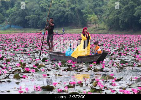 Sylhet, Bangladesh. 24th octobre 2022. 23 octobre 2022, Sylhet, Bangladesh : les visiteurs qui apprécient le bateau pendant la journée découverte à Jaintapur Dibir Hor de Sylhet, tandis que la tempête cyclonique Sitrang provoque de la pluie à Dhaka et dans d'autres parties du pays. Dibir Haor est connu comme Royaume de Shabla pour les voyageurs. Ici, au début du mois bengali d'Hemanta, de nombreuses fleurs rouges de Shabla ont fleuri dans ce Haor qui, sur la rive des collines de Meghalaya. Sur 23 octobre 2022 à Sylhet, Bangladesh. (Photo de MD Rafayat Haque Khan/ Groupe Eyepix/Sipa USA) crédit: SIPA USA/Alay Live News Banque D'Images