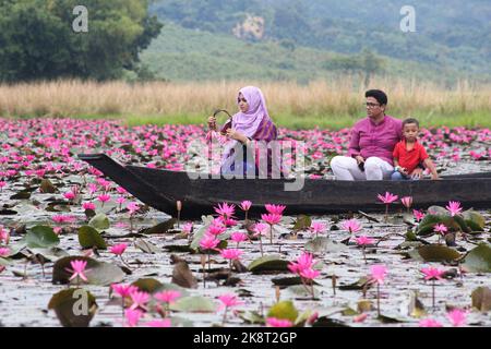 Sylhet, Bangladesh. 24th octobre 2022. 23 octobre 2022, Sylhet, Bangladesh : les visiteurs qui apprécient le bateau pendant la journée découverte à Jaintapur Dibir Hor de Sylhet, tandis que la tempête cyclonique Sitrang provoque de la pluie à Dhaka et dans d'autres parties du pays. Dibir Haor est connu comme Royaume de Shabla pour les voyageurs. Ici, au début du mois bengali d'Hemanta, de nombreuses fleurs rouges de Shabla ont fleuri dans ce Haor qui, sur la rive des collines de Meghalaya. Sur 23 octobre 2022 à Sylhet, Bangladesh. (Photo de MD Rafayat Haque Khan/ Groupe Eyepix/Sipa USA) crédit: SIPA USA/Alay Live News Banque D'Images