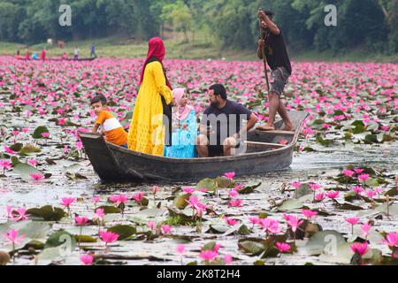 Sylhet, Bangladesh. 24th octobre 2022. 23 octobre 2022, Sylhet, Bangladesh : les visiteurs qui apprécient le bateau pendant la journée découverte à Jaintapur Dibir Hor de Sylhet, tandis que la tempête cyclonique Sitrang provoque de la pluie à Dhaka et dans d'autres parties du pays. Dibir Haor est connu comme Royaume de Shabla pour les voyageurs. Ici, au début du mois bengali d'Hemanta, de nombreuses fleurs rouges de Shabla ont fleuri dans ce Haor qui, sur la rive des collines de Meghalaya. Sur 23 octobre 2022 à Sylhet, Bangladesh. (Photo de MD Rafayat Haque Khan/ Groupe Eyepix/Sipa USA) crédit: SIPA USA/Alay Live News Banque D'Images