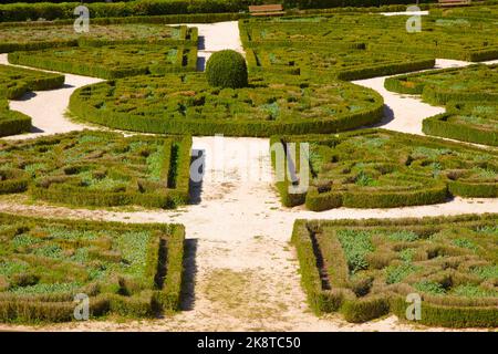 Portugal, forêt nationale de Bucaco, arbres, parc de Palace Hotel, Banque D'Images