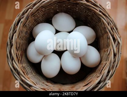 Dix œufs blancs fraîchement cueillis à l'intérieur D'Un pot en osier vue de dessus stock photo Banque D'Images