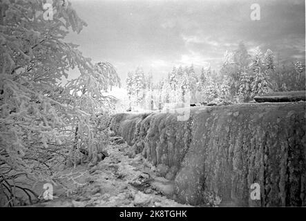 Rena janvier 1963 vague de froid à Rena, l'un des endroits les plus froids de Norvège. La chute d'eau était gelée. Image d'ambiance avec de la glace et des arbres blancs d'hiver. Photo: Sverre A. Børretzen / actuel / NTB Banque D'Images