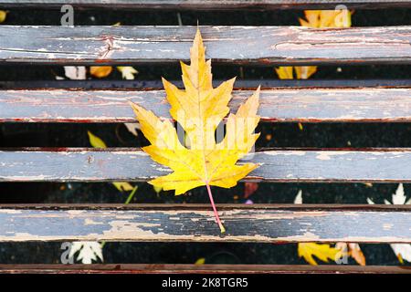 jaune automne feuille tombée sur un banc en bois. couleurs de l'automne. fond d'automne Banque D'Images