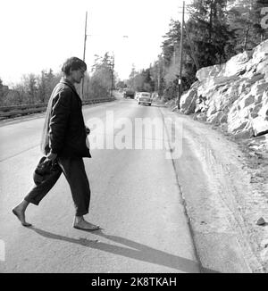 L'art de la marche, en 1956. Norvège, le printemps 1956. Le célèbre acteur suédois Per Oscarsson (1927-2010) a décidé de marcher de Göteborg à Oslo et de nourrir ce que la nature avait à offrir. Ce n'était pas un retard de P.R. l'acteur a juste pensé que la vie était devenue malsaine et a voulu revenir à la nature. "Je suis juste un être humain qui va découvrir des secrets de la nature qui devraient être clairs pour nous .." Photo: Aage Storløkken / actuel / NTB Banque D'Images