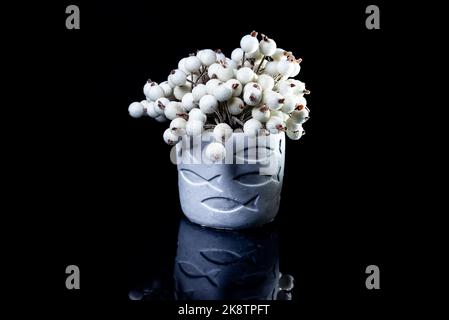 Un gros plan de vase en céramique avec des poissons aux baies bleues et rouges dans la glace le vase en porcelaine a une surface cannelée. Le vase avec un bouquet est iso Banque D'Images