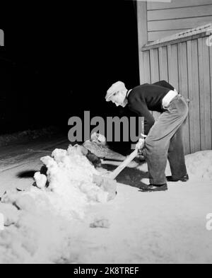 Trondheim 19500204. La star du patinage Hjalmar Andersen 'Hjallis' (27 ans) dans sa maison de Trondheim. Le temps restant après le travail de conducteur de camion et le sport a eu son propre. 'Hjallis' ne s'entraîne pas beaucoup pendant la saison d'hiver elle-même, mais la motoneige est aussi de l'exercice. Photo: Sverre A. Børresen courant / NTB Banque D'Images