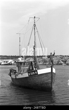 Oslofjord 19690531 sur REK après crevettes. Sur la pêche à la crevette avec le bateau aigle de mer. L'équipage est de deux hommes. Le skipper Reidar Hauge Pedersen et son fils Egil. Photo: Aage Storløkken / actuel / NTB Banque D'Images