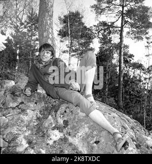 L'art de la marche, en 1956. Norvège, le printemps 1956. Le célèbre acteur suédois Per Oscarsson (1927-2010) a décidé de marcher de Göteborg à Oslo et de nourrir ce que la nature avait à offrir. Ce n'était pas un retard de P.R. l'acteur a juste pensé que la vie était devenue malsaine et a voulu revenir à la nature. "Je suis juste un être humain qui va découvrir des secrets de la nature qui devraient être clairs pour nous .." Photo: Aage Storløkken / actuel / NTB Banque D'Images