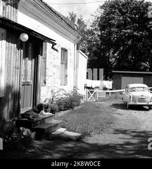 Oslo à l'été 1962. Une promenade le long de l'Akerselva de OS à OS. Ici idyll le long de l'Akerselva photo: Aage Storløkken / actuel / NTB. Banque D'Images