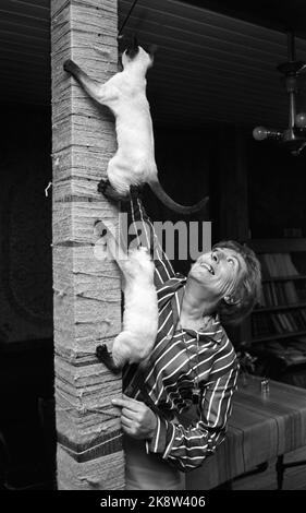 Nesodden 1963. Auteur Torborg Nedreaas, 1906 - 1987. Ici elle est dans sa maison à Nesodden avec ses chats siamois. Photo: Ivar Aaserud / courant / NTB Banque D'Images