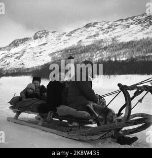 La frontière Jakobselv Pâques 1949 rien de nouveau de la frontière du nord Une bande de neige vierge de 160 kilomètres de la sortie de la frontière Jakobselv à Borderfoss à Pasvikdalen, devient la seule frontière commune entre les pays du Pacte atlantique et l'Union soviétique lorsque la Norvège adhère à l'Alliance A. Le courant est allé le long de la frontière et a parlé aux gens qui y vivent. Famille sur un voyage le long de la frontière. Assis sur des traîneaux. Photo; Sverre A. Børretzen / actuel / NTB Banque D'Images