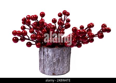 Un gros plan de vase en bois avec le viburnum rowan rouge. Le vase en porcelaine a une surface cannelée. Le vase avec un bouquet est isolé contre la ba blanche Banque D'Images