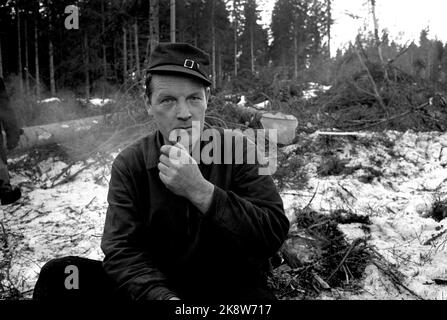 Eidskog février 1965. L'auteur, le parolier et l'enregistreur Hans Børli. Ici, il prend une pause-fumée dans les bois. Tuyau de fumée. Photo: Ivar Aaserud / courant / NTB Banque D'Images