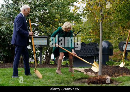 Le président des États-Unis, Joe Biden, et la première dame, le Dr Jill Biden, dédient un nouvel arbre à orme sur la pelouse sud de la Maison Blanche à l'honneur du surintendant des jardins de la Maison Blanche, Dale Haney, pour son service continu et sa contribution à la beauté et à l'abondance des jardins de la Maison Blanche à Washington, DC lundi, 24 octobre 2022. Dale a consacré cinquante ans aux jardins et aux jardins de la Maison Blanche à partir de 1972 en tant que jardinier sous la présidence de Richard Nixon. Il a maintenant servi dix administrations.Credit: Yuri Gripas/Pool via CNP /MediaPunch Banque D'Images