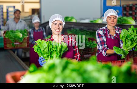 Portrait d'une jeune femme travaillant dans une usine de légumes debout sur un convoyeur et tenant des feuilles de laitue Banque D'Images