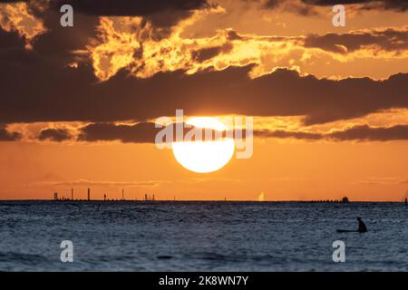 Superbe coucher de soleil au départ d'Oahu à Hawaï avec silhouettes de surfeurs et nageurs. Banque D'Images