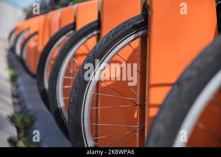 Une rangée de vélos à une station de location de vélos. Concept de mobilité urbaine écologique et durable. Gros plan des pneus, composition avec espace de copie. Banque D'Images