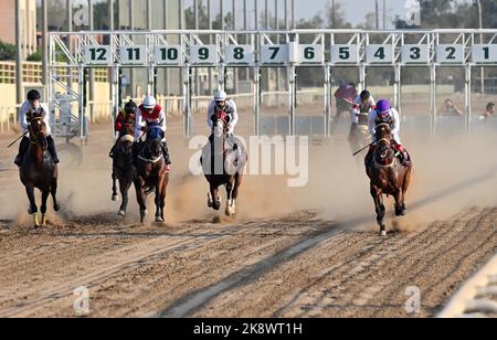 Gouvernorat de Moubarak Al Kabeer. 25th octobre 2022. Les cavaliers participent à des courses hippiques dans le gouvernorat de Mubarak Al-Kabeer, Koweït, 24 octobre 2022. La saison des courses hippiques du Koweït a débuté lundi au club de chasse et d'équitation koweïtien du gouvernorat de Mubarak Al-Kabeer, avec 35 chevaux participant à 4 courses le premier jour. Credit: Astad/Xinhua/Alay Live News Banque D'Images