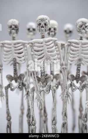 Squelettes d'Halloween. Modèle d'invitation de partie. Banque D'Images