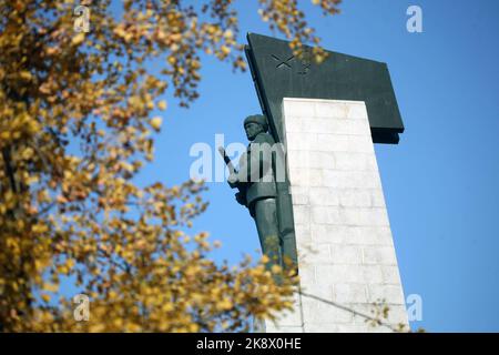 SHENYANG, CHINE - le 25 OCTOBRE 2022 - les citoyens, les étudiants et les descendants des martyrs posent des couronnes et des fleurs pour les martyrs au Cemete des martyrs de Shenyang Banque D'Images