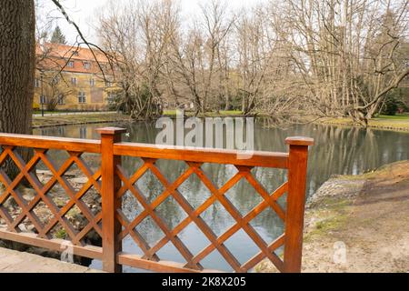 Vue d'été jour ensoleillé dans la nature depuis l'alcôve en bois arbor. Environnement ensoleillé et frais vert nature arrière-plan. Jardin botanique. Unité avec la nature Banque D'Images