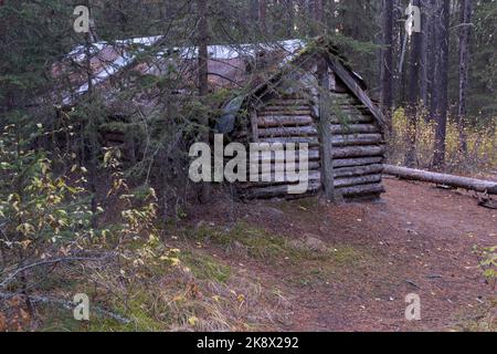 L'ermite d'Inglismaldie, primitive secrète Old Heritage Wood Log Cabin pourrissent dans Wilderness Forest. Parc national Banff Alberta Canada Banque D'Images