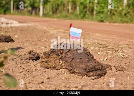 Un drapeau russe sur un tas de dung sur une route de campagne. Banque D'Images