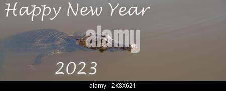 Bonne année 2023, Caiman, Pantanal, Brésil, faune, Eau Banque D'Images