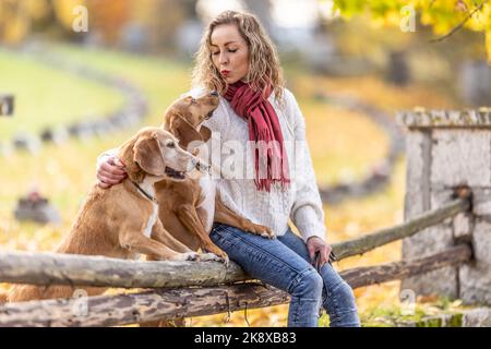 Une jeune femme s'assoit dans le parc avec ses chiens et leur montre l'amour. Banque D'Images