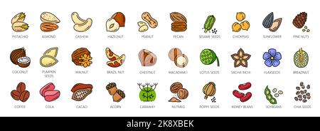 Les noix présentent les icônes de couleur, les noix, les amandes et les noix de cajou, les arachides vectorielles et les noisettes. Noix icônes linéaires de pistache, macadamia et pecan, snack de noix de coco, noix du brésil et haricots ou graines de sésame Illustration de Vecteur